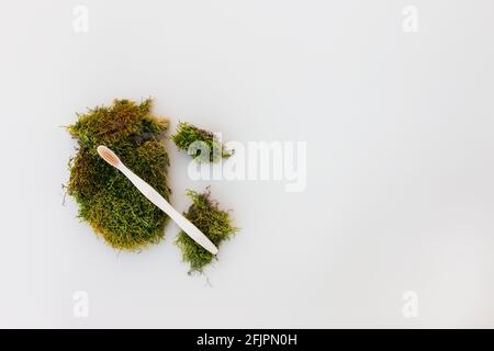 Accessoires de bain pose de toile, brosse à dents isolée en bois sur fond blanc avec mousse verte comme concept naturel soins de santé, ECO, zéro déchet, réutilisable, p Banque D'Images