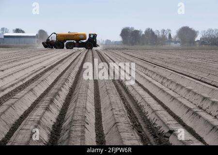 Champ aux pays-Bas qui a été labouré en sillons convergents arrière égaux et nets. La machine agricole d'un entrepreneur se déplace à distance Banque D'Images