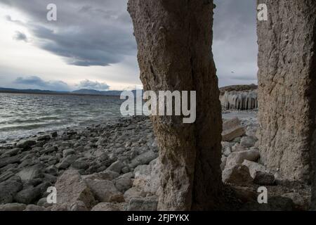 Les tuffs Bishop sont également connus sous le nom de colonnes de Crowley Lake dans le comté de Mono, en Californie, aux États-Unis. Ils sont faits de matériel d'une éruption volcanique. Banque D'Images