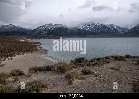 Les tuffs Bishop sont également connus sous le nom de colonnes de Crowley Lake dans le comté de Mono, en Californie, aux États-Unis. Ils sont faits de matériel d'une éruption volcanique. Banque D'Images