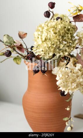 Fleurs séchées et baies en pot d'argile sur fond blanc gros plan. Une vie pédagogique pour le dessin. Banque D'Images