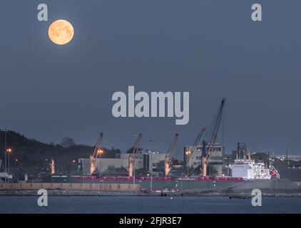 Ringaskiddy, Cork, Irlande. 26 avril 2021. Une lune rose super pleine descend le cargo Universal Bremen au nouveau port de Cork Deep Water terminal à Ringaskiddy, Co. Cork, Irlande. - crédit; David Creedon / Alamy Live News Banque D'Images