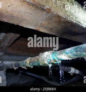 Fuite d'eau dans le tuyau d'eau en cuivre corrodé dans la plomberie sous un bungalow traditionnel de villa en Nouvelle-Zélande. Banque D'Images