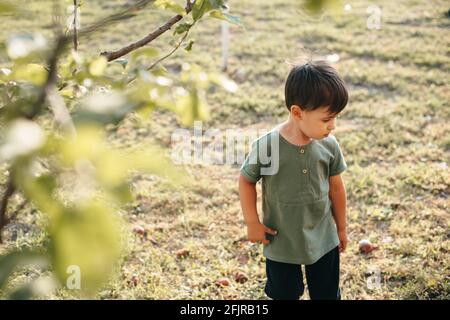 Vue supérieure d'un petit garçon caucasien marchant dans un parc entre arbres à la recherche de fruits Banque D'Images