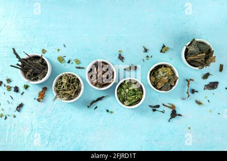 Variété de légumes de mer, grenaille à plat au plafond Banque D'Images