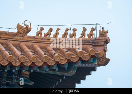 Vue rapprochée du toit en tuiles vernies de jaune avec sculpture de dragon culturel chinois dans la Cité interdite, Beijing, Chine Banque D'Images