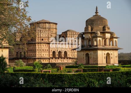 Chhatris, monuments funéraires dédiés à la royauté du XVIe et XVIIe siècle à Orcha, Madhya Pradesh, Inde. Banque D'Images