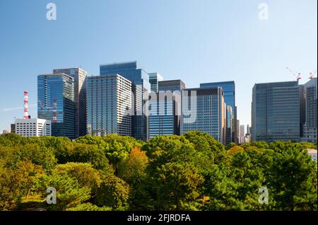 Gratte-ciels du quartier commercial et financier de Marunouchi, vue depuis les jardins du Palais impérial. Tokyo. Japon Banque D'Images