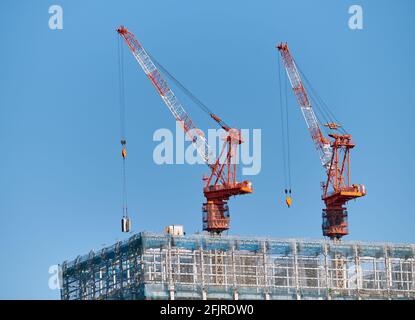 Vue sur les deux grues renouvelant le toit du gratte-ciel dans le quartier Marunouchi de Tokyo. Japon Banque D'Images