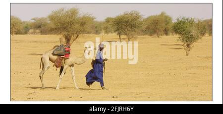 Mali: Bergers nomades, les Tuaregs du nord du Mali. Photo de David Sandison 13/12/2002 aller avec l'histoire de Mike Mc Carthy Banque D'Images