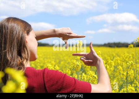 Gros plan d'une femme mains encadrement fleur dans un champ jaune au printemps Banque D'Images