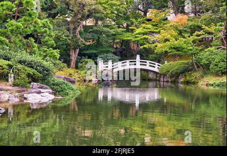 Pont d'arche blanc au-dessus de l'étang au centre de l'ancien jardin Yasuda (Kyu-yasuda Teien), un petit jardin de promenade japonais situé à Ryogoku. Tokyo. Japon Banque D'Images