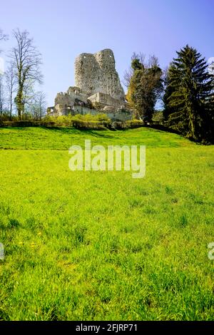 Le Château de Pfeffingen est un château situé dans la commune de Pfeffingen, dans le canton de Bâle-Terre, en Suisse. Site du patrimoine suisse du significan national Banque D'Images