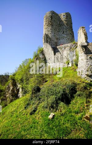 Le Château de Pfeffingen est un château situé dans la commune de Pfeffingen, dans le canton de Bâle-Terre, en Suisse. Site du patrimoine suisse du significan national Banque D'Images