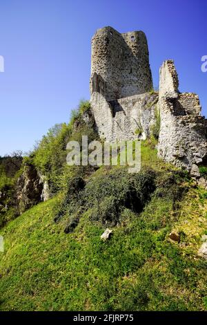 Le Château de Pfeffingen est un château situé dans la commune de Pfeffingen, dans le canton de Bâle-Terre, en Suisse. Site du patrimoine suisse du significan national Banque D'Images