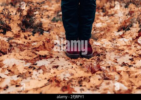 Des jambes de femme en bottes bordo et un Jean noir se tiennent dans le parc d'automne. Le jaune doré laisse le tapis dans la forêt Banque D'Images