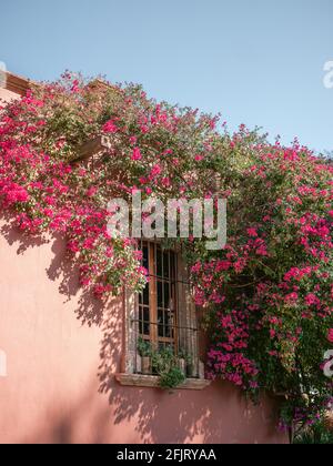 Parque Benito Juárez - photos de voyage à San Miguel de Allende, Mexique Banque D'Images