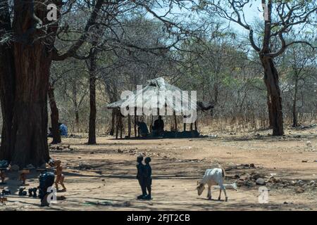 Village traditionnel du Zimbabwe rural près du lac Kariba, Zimbabwe Banque D'Images