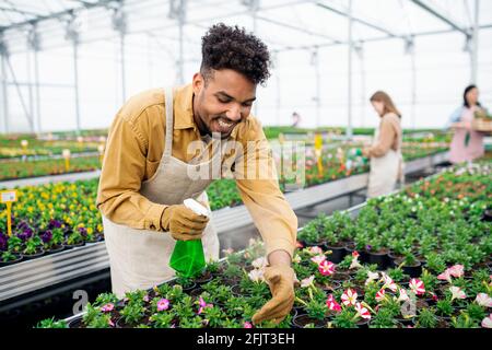 Jeune homme afro-américain travaillant en serre dans un jardin. Banque D'Images