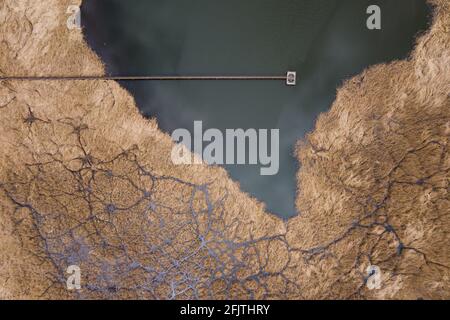 Lac utilisé comme site de déversement de produits chimiques industriels avec film d'huile sur l'eau et les plantes mortes et les tuyaux rouillés, vue aérienne de drone. Banque D'Images