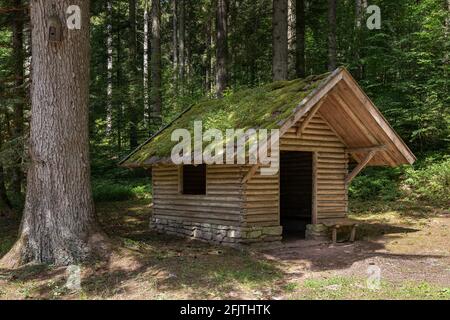 Cabane en bois avec toit recouvert de mousse dans la forêt Banque D'Images