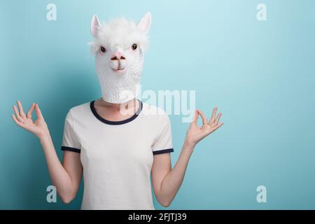 Jeune femme portant un masque d'alpaga. Mains dans méditation yoga mudra signe. Isolé sur fond bleu. Banque D'Images