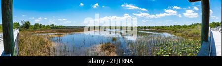 Panorama des zones humides et de la promenade à la réserve naturelle de Chapel Trail - Pembroke Pines, Floride, États-Unis Banque D'Images