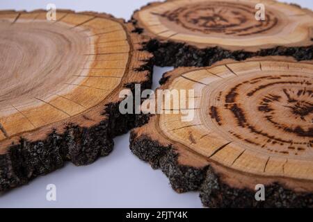 Coupe transversale de l'arbre. Structure de l'arborescence. Grand morceau circulaire de section en bois avec motif de texture de l'anneau d'arbre et fissures Banque D'Images