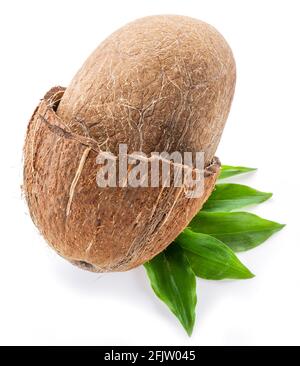 Couper le fruit de la noix de coco avec la graine intérieure entière sur les feuilles vertes isolées sur fond blanc. Banque D'Images