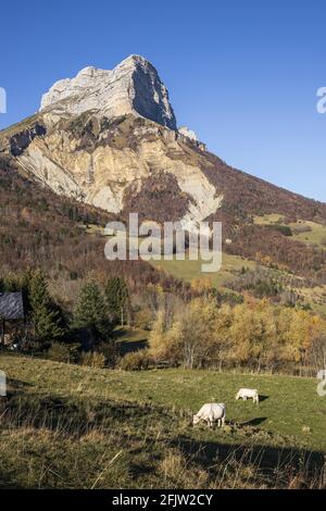 France, Isère, Parc naturel régional de Chartreuse, vallée de Grésivaudan, plateau-des-Petites-roches, vue de la route du col du Coq sur le hameau Meunières de la commune de Saint-Pancrasse avec en arrière-plan les falaises de Dent de Crolles (2026m) Banque D'Images