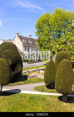 New Street et quelques-uns des 99 arbres de youf de chantier dans le village de Cotswold de Painswick, Gloucestershire Royaume-Uni Banque D'Images