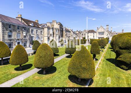 Le chantier naval de St Marys avec quelques-uns de ses 99 arbres à coudre dans le village Cotswold de Painswick, Gloucestershire, Royaume-Uni Banque D'Images