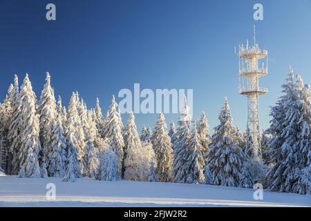 France, Bas Rhin, Hautes Vosges, Belmont, champ du feu (1099 m), sommet en hiver Banque D'Images