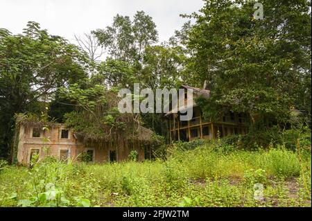 Gabon, quartier Moyen Ogoué, Ndjolé, île de Samory, l'ancienne église catholique Saint-Michel aujourd'hui en ruines et ses missions Banque D'Images