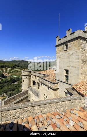 France, Vaucluse, Parc naturel régional du Mont Ventoux, le Barroux, château (XVIe siècle) Banque D'Images