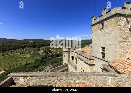 France, Vaucluse, Parc naturel régional du Mont Ventoux, le Barroux, château (XVIe siècle) Banque D'Images