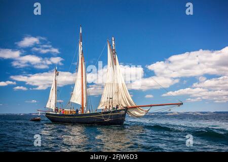 France, Finistère (29), Douarnenez, le Corentin, loup de l'Odet, En baie de Douarnenez sur le port du Rosemeur pendentif le festival maritime temps Fête 2018 Banque D'Images