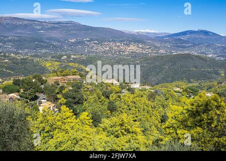 France, Var, Tanneron, village perché entouré d'une forêt de mimosas, Grasse en arrière-plan Banque D'Images