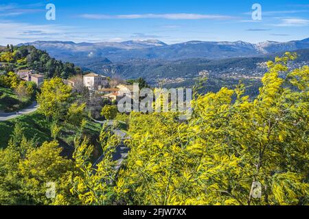 France, Var, Tanneron, village perché entouré d'une forêt de mimosas Banque D'Images