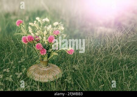 Trèfle rouge fleurs dans un beau vase antique sur un fond d'herbe verte au coucher du soleil. Reflet du soleil. Flou, flou, mise au point sélective. Espace de copie. Banque D'Images