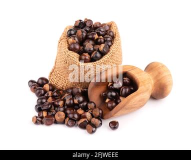 Graines de guarana en sac et en pelle en bois, isolées sur fond blanc. Supplément alimentaire guarana, source de caféine pour boissons énergétiques. Banque D'Images