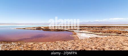 Lagune de Tebinchinche, désert à Salar de Atacama, San Pedro Atacama, Altiplano, Chili Banque D'Images