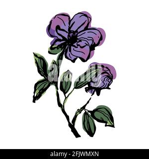 branche de fleur avec feuilles et fond vectoriel isolé de bourgeon non ouvert Banque D'Images