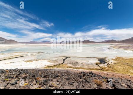 Lagune de Tuyajto sur l'altiplano dans le désert d'Atacama dans la région d'Antofagasta, au nord du Chili, en Amérique du Sud. Banque D'Images