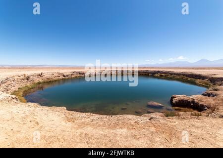 Ojos del Salar Lagoon, Salar de Atacama San Pedro de Atacama, région d'Antofagasta, Chili Banque D'Images