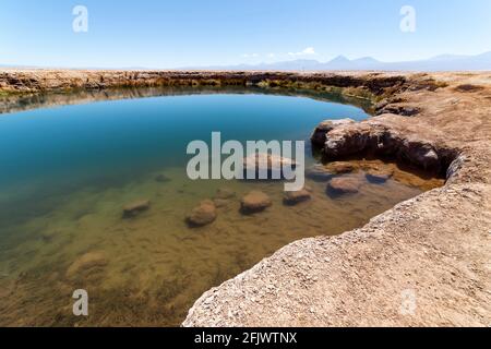 Ojos del Salar Lagoon, Salar de Atacama San Pedro de Atacama, région d'Antofagasta, Chili Banque D'Images