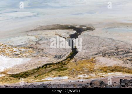 Lagune de Tuyajto sur l'altiplano dans le désert d'Atacama dans la région d'Antofagasta, au nord du Chili, en Amérique du Sud. Banque D'Images