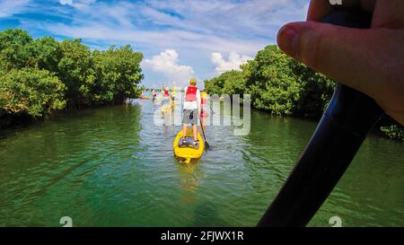 Paddle-board dans les Florida Keys. Banque D'Images