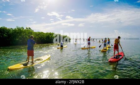 Paddle-board dans les Florida Keys. Banque D'Images