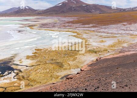 Lagune de Tuyajto sur l'altiplano dans le désert d'Atacama dans la région d'Antofagasta, au nord du Chili, en Amérique du Sud. Banque D'Images